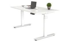 Infinity 3 Stage Leg, 2 Motor, 120kg lifting weight, 4 Memory (Frame only)