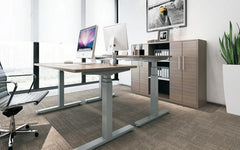 Infinity 2 Stage Leg, 4 Motor, 120kg lifting weight each desk, 4 Memory Back to Back (Frame only, includes cable 2 trays)